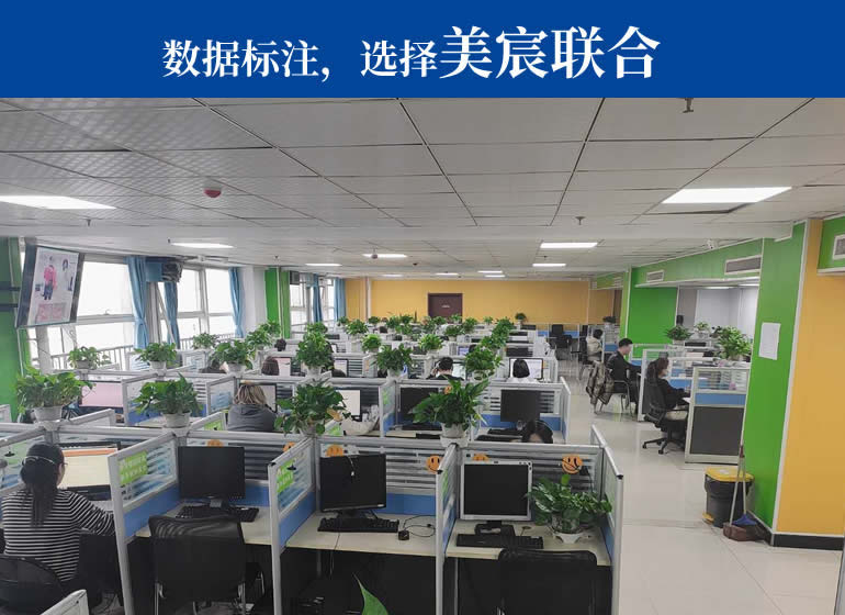 数据标注